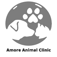 AMORE ANIMAL CLINIC GROUP